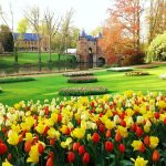 Floralia Brussels