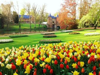 Floralia Brussels
