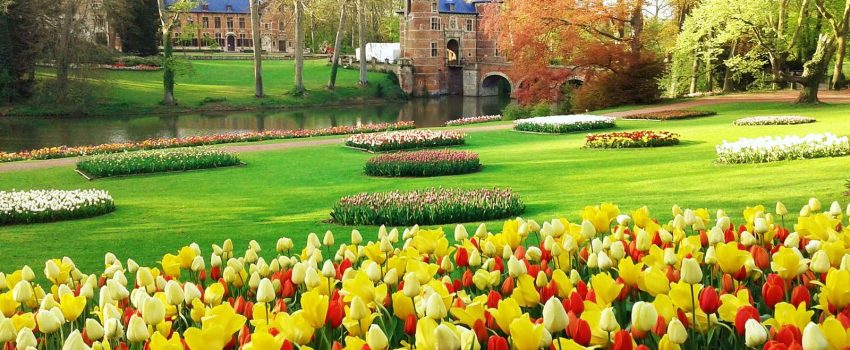 Floralia Brussels
